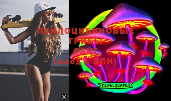 мяу мяу мука Алзамай